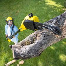 Best Tree Risk Assessment  in Greenbrier, TN