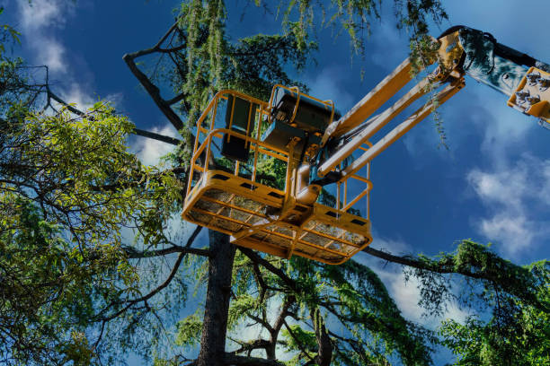 Best Commercial Tree Services  in Greenbrier, TN